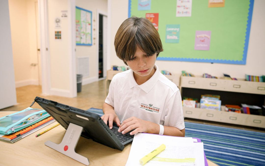 Enhancing Executive Function: Strategies for Student Success