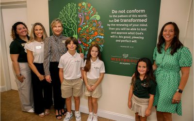 The Role of Executive Function Strategies in Dyslexia Education